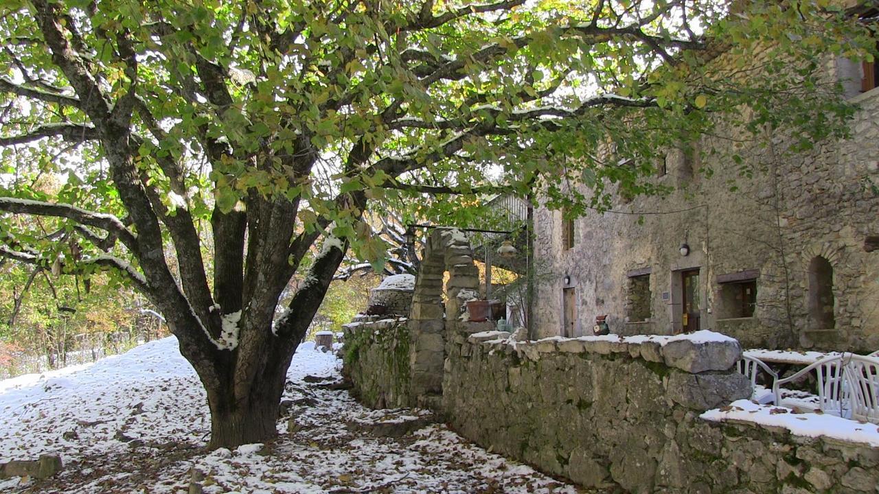 Danse L'Ombre Curel (Alpes-de-Haute-Provence) Exterior photo